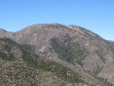 Sewart Mountain
