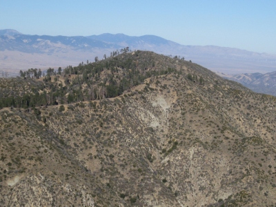 White Mountain