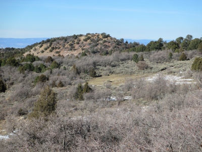 Oak Hill