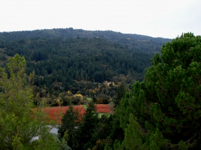 Diamond Mountain