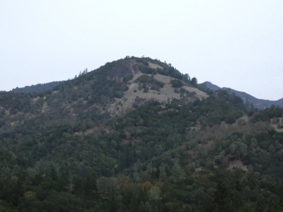 Saddleback