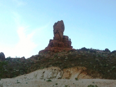 Red Needle