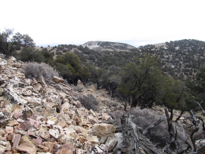 Little Cedar Mountain