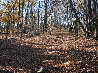 Moorman Hill