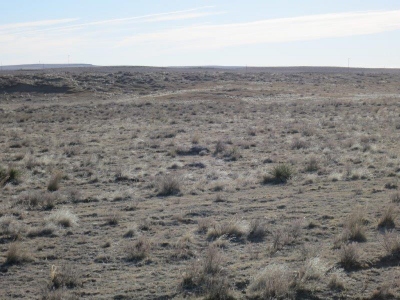 Minter Hill