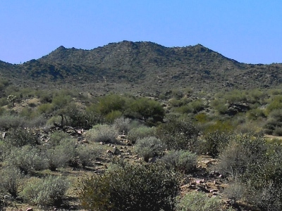 Usery Mountain