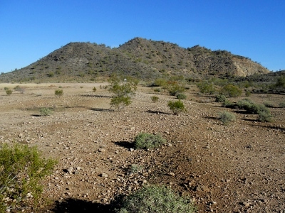 Buffalo Ridge