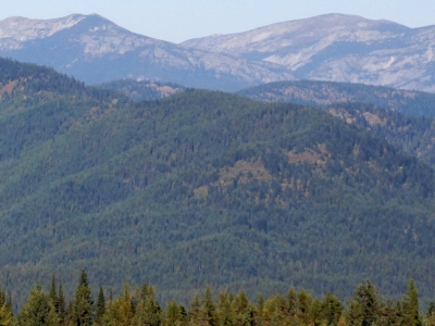 Dusty Peak