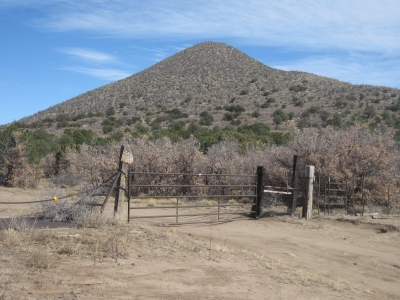 Bald Hills, South