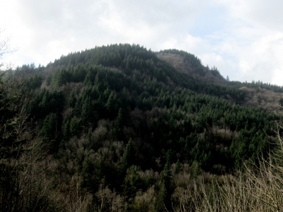 Devils Peak