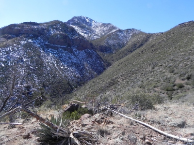 North Peak