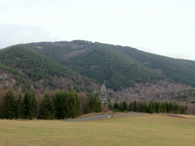 1881