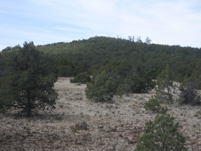 North Cebollita Mesa