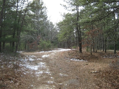 Manomet Hill