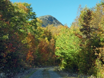 Bald Mountain