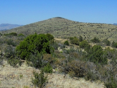 Bald Mountain