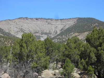 Sandoval Benchmark