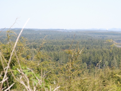 Langley Hill