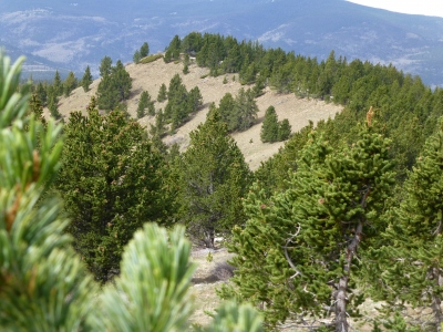 La Cueva Peak