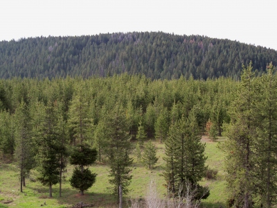 Snake River Butte
