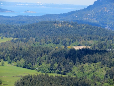 Osprey Hill
