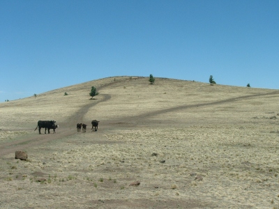Cerro Pelon