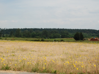 Gierin Hill
