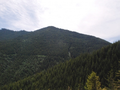 Buck Mountain