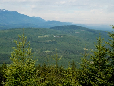 Lost Mountain