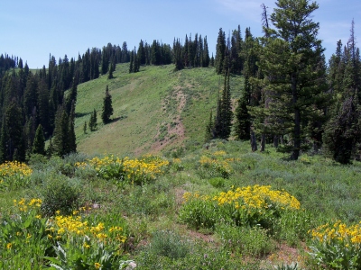 Middle Ridge, South