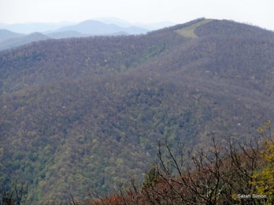 Siler Bald
