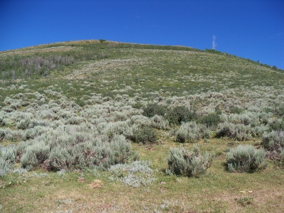 Sheep Creek Hills