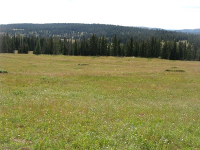 Quartzite Ridge