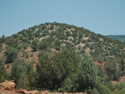 Grassy Knolls, West