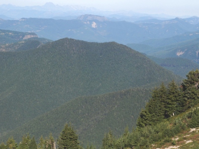 Frog Mountain