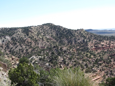 Palomas Hills, East