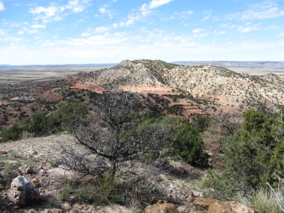 Palomas Hills, West