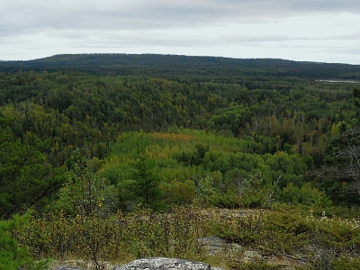 "Rosebush Ridge"