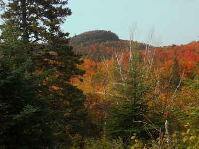 "Sawmill Dome"