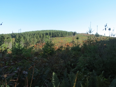 Green Mountain, South