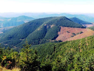 Butler Butte