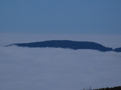 Wild Horse Peak