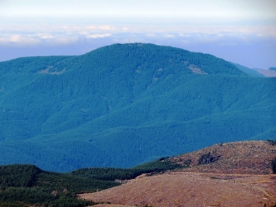 Signal Peak