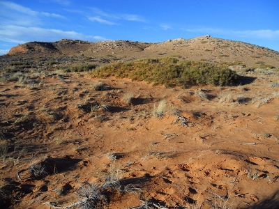 Whitbeck Knoll