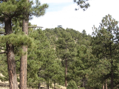 Fox Mountain