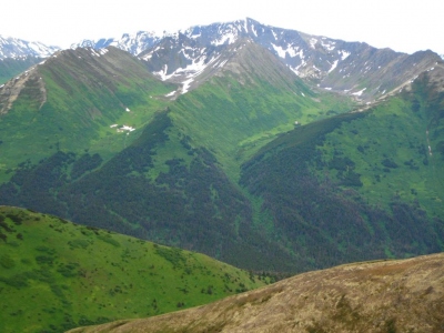 "Nest Peak"