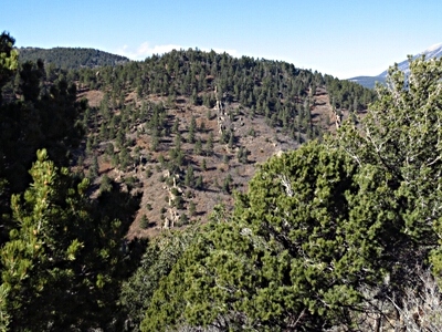 Cross Mountain