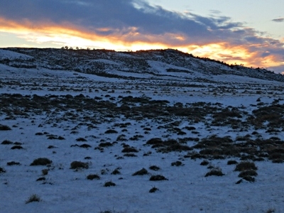 Pine Butte