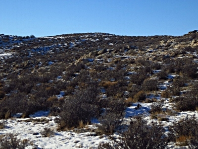 Como Ridge