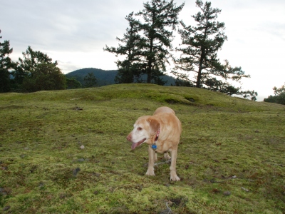 Lundberg Mountain